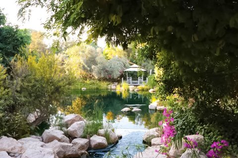 Lakás itt: Al Barari, Dubai, EAE, 1 hálószoba, 112.72 m², azonosító: 762755 - fénykép 22