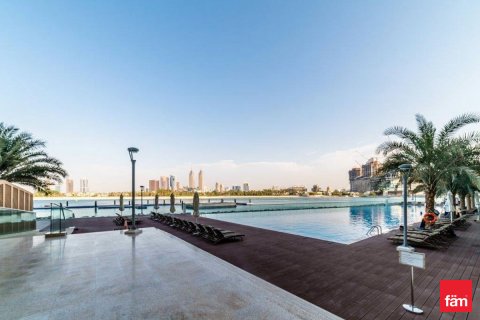 阿联酋 Dubai Palm Jumeirah 待租 : 1 卧, 106.2 平方米 , 编号641482 - 照片 12