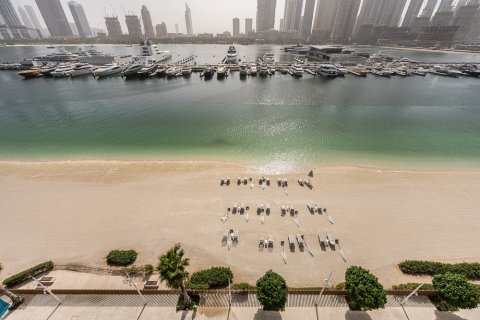 Dubai Harbour, Dubai, संयुक्त अरब अमीरात में अपार्टमेंट, 2 बेडरूम, 123 वर्ग मीटर, संख्या 749871 - फ़ोटो 10