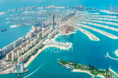 阿联酋 Dubai Palm Jumeirah 待售 : 3 卧, 254 平方米 , 编号718281 - 照片 3