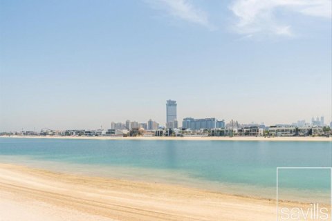 Palm Jumeirah, Dubai, BAE’de satılık villa 5 yatak odası, 683.58 m&sup2; No 747110 - fotoğraf 21