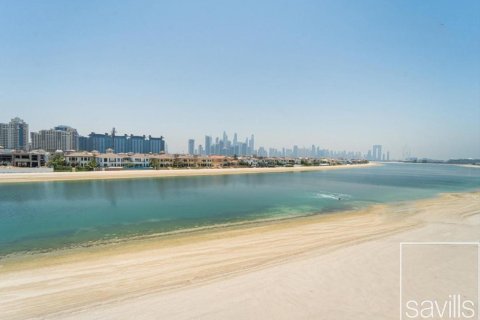Palm Jumeirah, Dubai, BAE’de satılık villa 5 yatak odası, 683.58 m&sup2; No 747110 - fotoğraf 18