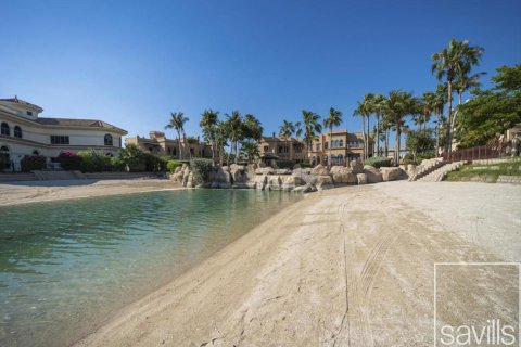 Palm Jumeirah, Dubai, UAE의 판매용 빌라 침실 5개, 1244.71제곱미터 번호 747109 - 사진 28