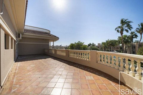 Palm Jumeirah, Dubai, UAE의 판매용 빌라 침실 5개, 1244.71제곱미터 번호 747109 - 사진 21