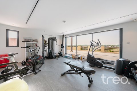 Vila v Arabian Ranches, Dubai, SAE 6 ložnice, 743.22 m² Č.: 739175 - fotografie 28