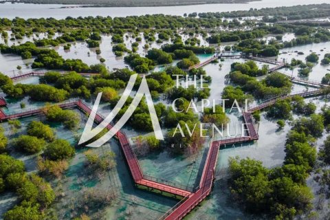 Купити земельна ділянка в Al Hudayriat Island, Абу-Даби, ОАЕ 700м2, № 681291 - фото 3