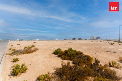 Jebel Ali, Dubai, संयुक्त अरब अमीरात में ज़मीन, 889 वर्ग मीटर, संख्या 661492 - फ़ोटो 2