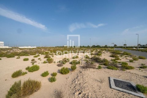 Pozemok v Jebel Ali, Dubai, SAE 1013.76 m2 č. 761651 - Fotografia 9
