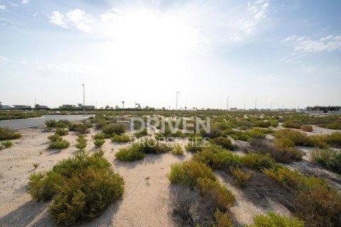 Pozemok v Jebel Ali, Dubai, SAE 1013.76 m2 č. 761651 - Fotografia 11