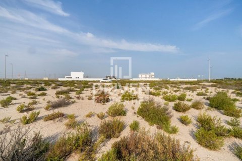 Pozemok v Jebel Ali, Dubai, SAE 1013.76 m2 č. 761651 - Fotografia 5