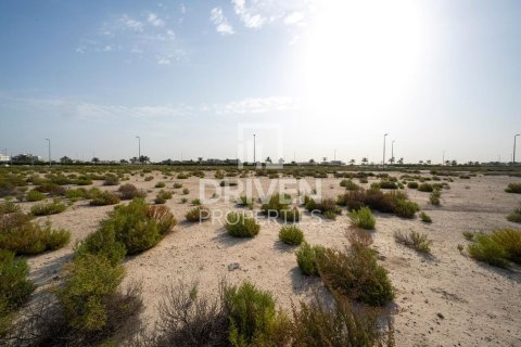 Pozemok v Jebel Ali, Dubai, SAE 1013.76 m2 č. 761651 - Fotografia 7