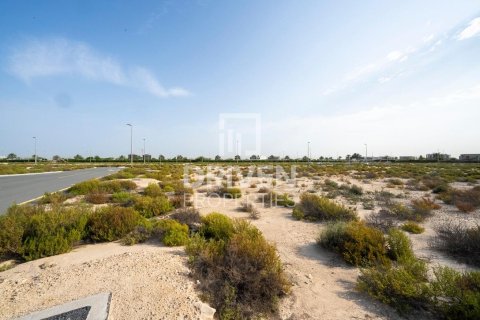 Pozemok v Jebel Ali, Dubai, SAE 1013.76 m2 č. 761651 - Fotografia 12