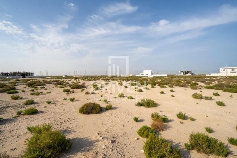 Pozemok v Jebel Ali, Dubai, SAE 1013.76 m2 č. 761651 - Fotografia 8