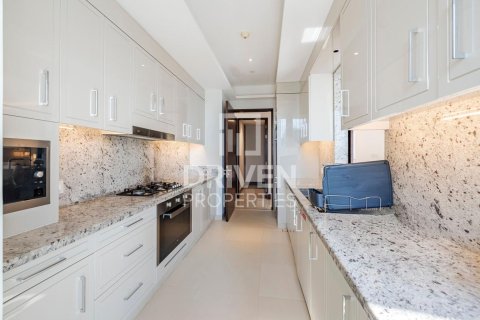 阿联酋 Dubai Downtown Dubai (Downtown Burj Dubai) 待租 : 3 卧, 188 平方米 , 编号654953 - 照片 12