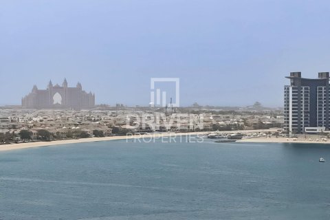 Dubai Harbour, Dubai, संयुक्त अरब अमीरात में अपार्टमेंट, 1 बेडरूम, 76.83 वर्ग मीटर, संख्या 759230 - फ़ोटो 21