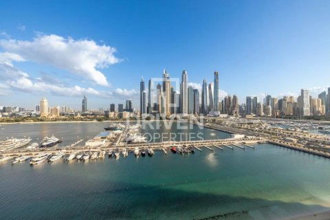 Dubai Harbour, Dubai, संयुक्त अरब अमीरात में अपार्टमेंट, 1 बेडरूम, 76.83 वर्ग मीटर, संख्या 759230 - फ़ोटो 14