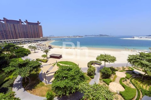 Apartament de vânzare în Palm Jumeirah, Dubai, EAU 3 dormitoare, 200 mp.  №643687 - poză 15