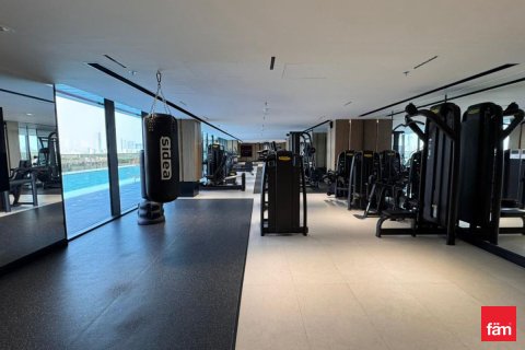 آپارتمان برای فروش در Meydan، Dubai، امارات متحده عربی 1 خوابه ، 118.1 متر مربع ، شماره 648020 - تصویر 19