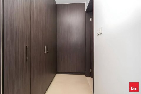 阿联酋 Dubai Downtown Dubai (Downtown Burj Dubai) 待租 : 3 卧, 164.3 平方米 , 编号722331 - 照片 22
