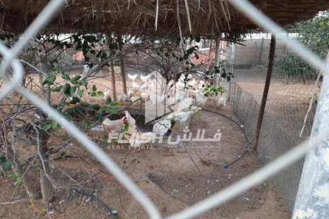 Ras Al Khaimah, BAE’de satılık земля 18581 m&sup2; No 656915 - fotoğraf 4