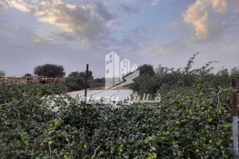 Ras Al Khaimah, BAE’de satılık земля 18581 m&sup2; No 656915 - fotoğraf 6