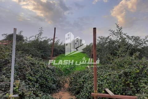 Ras Al Khaimah, BAE’de satılık земля 18581 m&sup2; No 656915 - fotoğraf 13