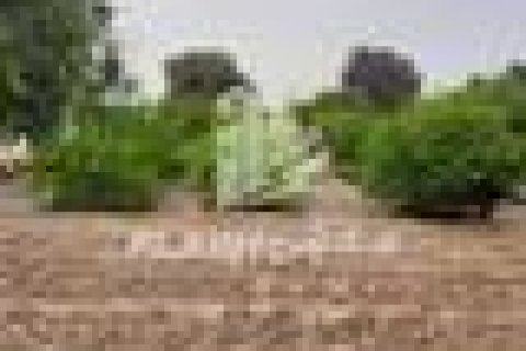 Ras Al Khaimah, BAE’de satılık земля 18581 m&sup2; No 656915 - fotoğraf 12