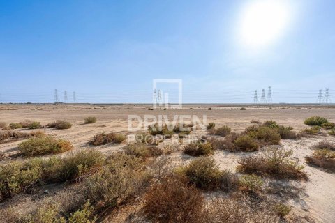 Pozemek v Jebel Ali, Dubai, SAE 961.92 m² Č.: 744493 - fotografie 7