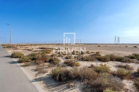 Pozemek v Jebel Ali, Dubai, SAE 961.92 m² Č.: 744493 - fotografie 4