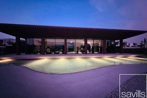 Tilal Al Ghaf, Dubai, UAE의 임대용 빌라 침실 5개, 493제곱미터 번호 638022 - 사진 21