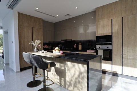 Huvila Wadi Al Safa 3, Dubai, Arabiemiraatit 5 makuuhuonetta, 616 m2 № 758432 - kuva 6