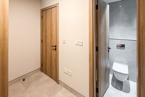 阿联酋 Dubai Dubai Hills Estate 待租 : 2 卧, 160.63 平方米 , 编号754391 - 照片 21