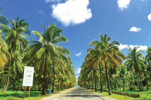 Dzīvoklis Al Marjan Island, Ras Al Khaimahjā, AAE 1 istaba, 150 m2 Nr. 656580 - attēls 3