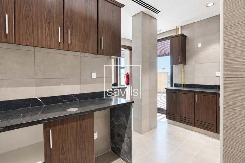 Lakás itt: Saadiyat Island, Abu Dhabi, EAE, 3 hálószoba, 366.97 m², azonosító: 766889 - fénykép 12