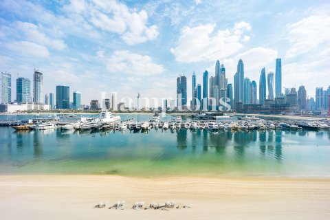 آپارتمان برای اجاره در Dubai Harbour، Dubai، امارات متحده عربی 1 خوابه ، 80.10932787 متر مربع ، شماره 701740 - تصویر 29