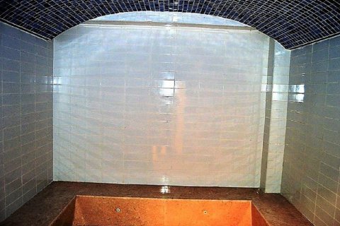 Lägenhet till försäljning i Ras Al Khaimah, UAE 42 kvm Nr. 734644 - fotografi 20