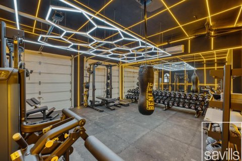 Palm Jumeirah, Dubai, संयुक्त अरब अमीरात में विला, 5 बेडरूम, 650 वर्ग मीटर, संख्या 680737 - फ़ोटो 24