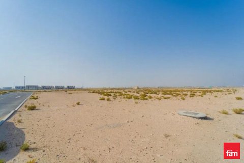 Föld itt: Jebel Ali, Dubai, EAE, 929.1 m², azonosító: 633745 - fénykép 3