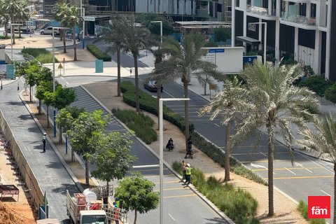 阿联酋 Dubai Dubai Harbour 待租 : 1 卧, 79 平方米 , 编号629448 - 照片 13