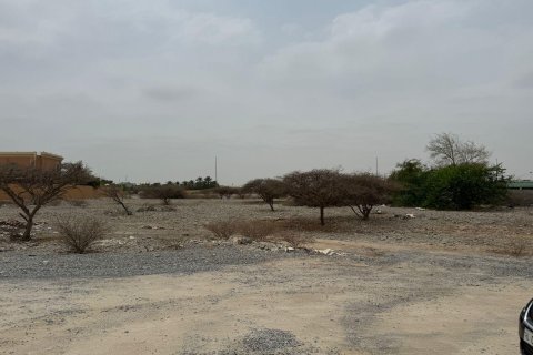 Föld itt: Seih Al Uraibi, Ras Al Khaimah, EAE, 1858 m², azonosító: 730723 - fénykép 6