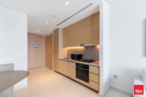 آپارتمان برای اجاره در Downtown Dubai (Downtown Burj Dubai)، Dubai، امارات متحده عربی 1 خوابه ، 74.6 متر مربع ، شماره 669929 - تصویر 13