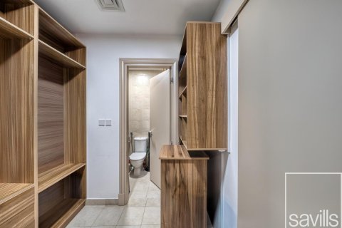 شقة للبيع في نخلة جميرا، دبي، الإمارات العربية المتحدة 2 غرفة نوم ، 163 متر مربع ، رقم 655979 - صورة 19