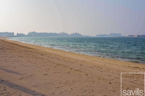 شقة للبيع في نخلة جميرا، دبي، الإمارات العربية المتحدة 2 غرفة نوم ، 163 متر مربع ، رقم 655979 - صورة 27