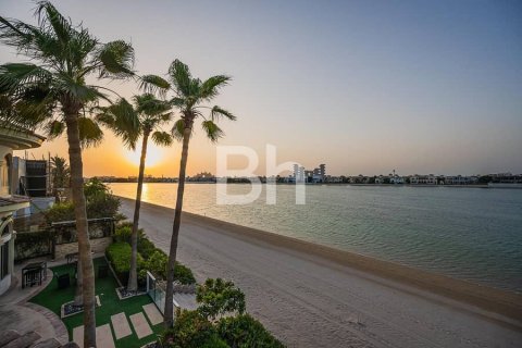 Palm Jumeirah, Dubai, BAE’de kiralık вилла 5 yatak odası, 1245 m&sup2; No 643126 - fotoğraf 13