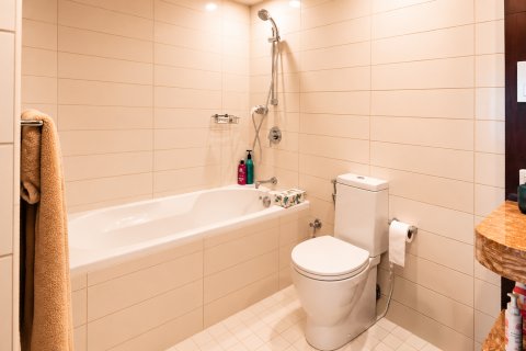 Üürile anda korter asukohaga Downtown Dubai (Downtown Burj Dubai), AÜE: 1 magamistoaga, 67.45 m² Nr 749763 - pilt 12