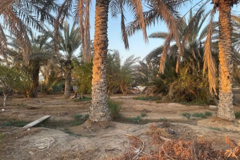 Ras Al Khaimah, UAE의 판매용 농장 침실 3개, 22575제곱미터 번호 656842 - 사진 3