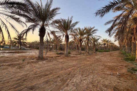 Ras Al Khaimah, UAE의 판매용 농장 침실 3개, 22575제곱미터 번호 656842 - 사진 7
