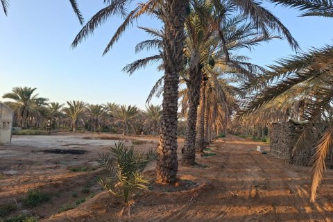 Ras Al Khaimah, UAE의 판매용 농장 침실 3개, 22575제곱미터 번호 656842 - 사진 1