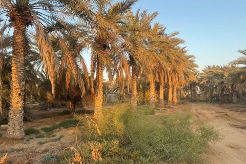 Ras Al Khaimah, UAE의 판매용 농장 침실 3개, 22575제곱미터 번호 656842 - 사진 8