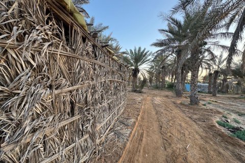 Ras Al Khaimah, UAE의 판매용 농장 침실 3개, 22575제곱미터 번호 656842 - 사진 6